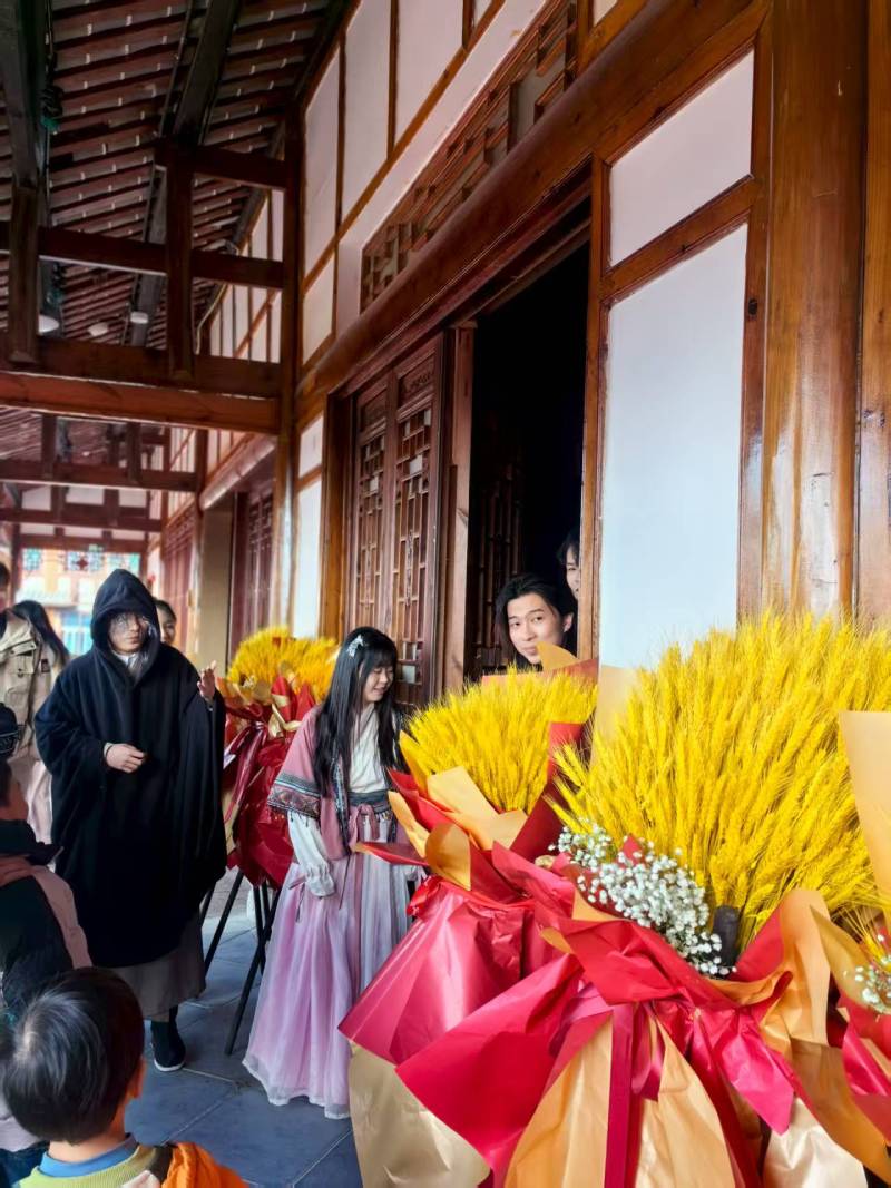 阳明区文旅项目策划